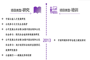 骚逼视频网站国产非评估类项目发展历程